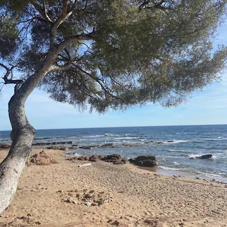A Saint-raphael Avec Terrasse *