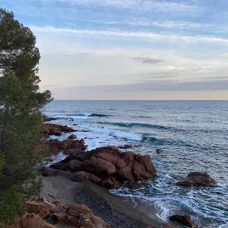 Апартаменты A Saint-raphael Avec Terrasse *